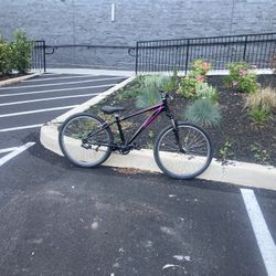 Dirt Jumper 