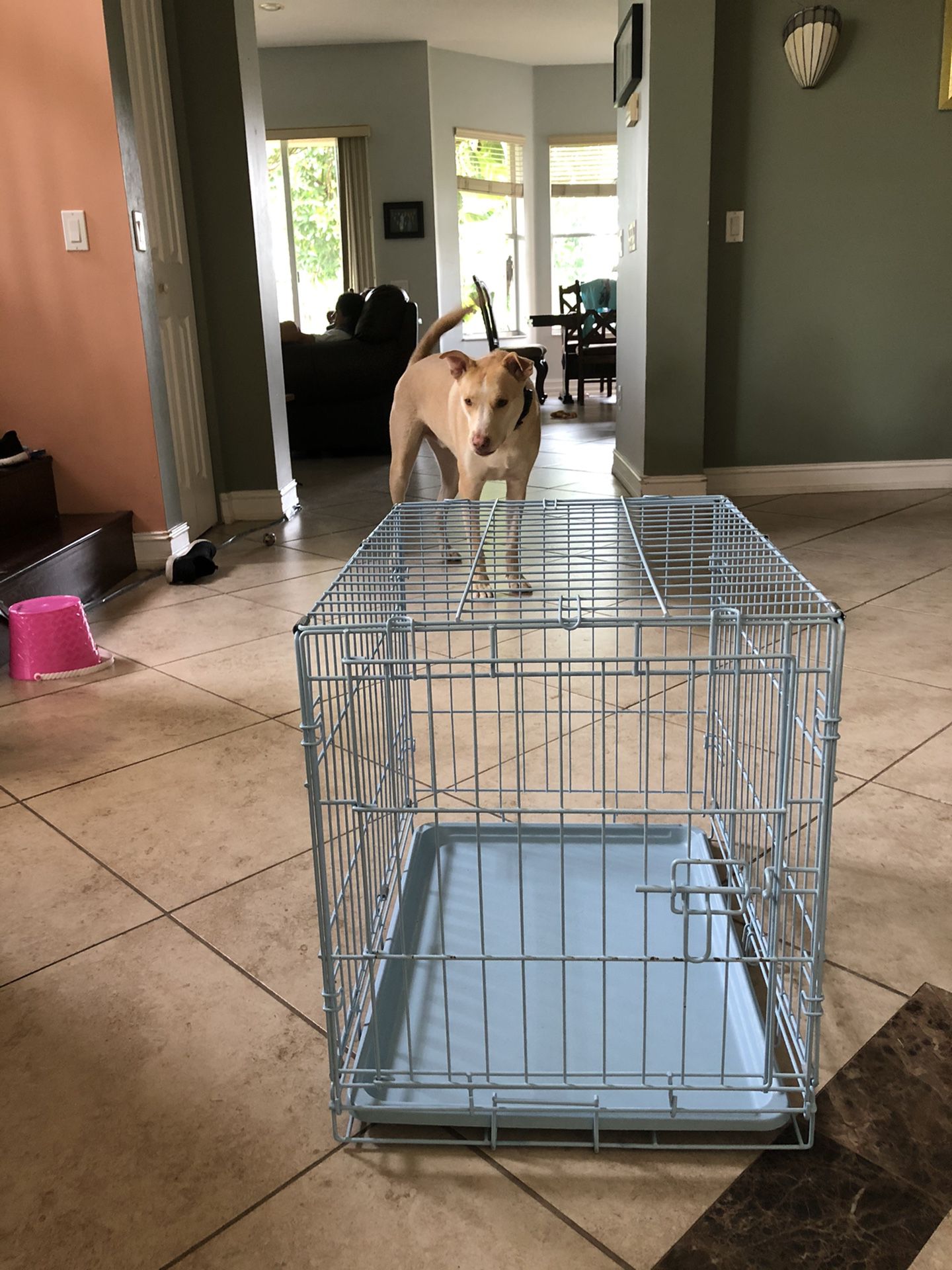 Small dog cage, baby blue