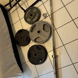 Weights & Squat Rack, Bench Press 