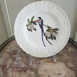 Decorative Birds Of America Plate Number 168