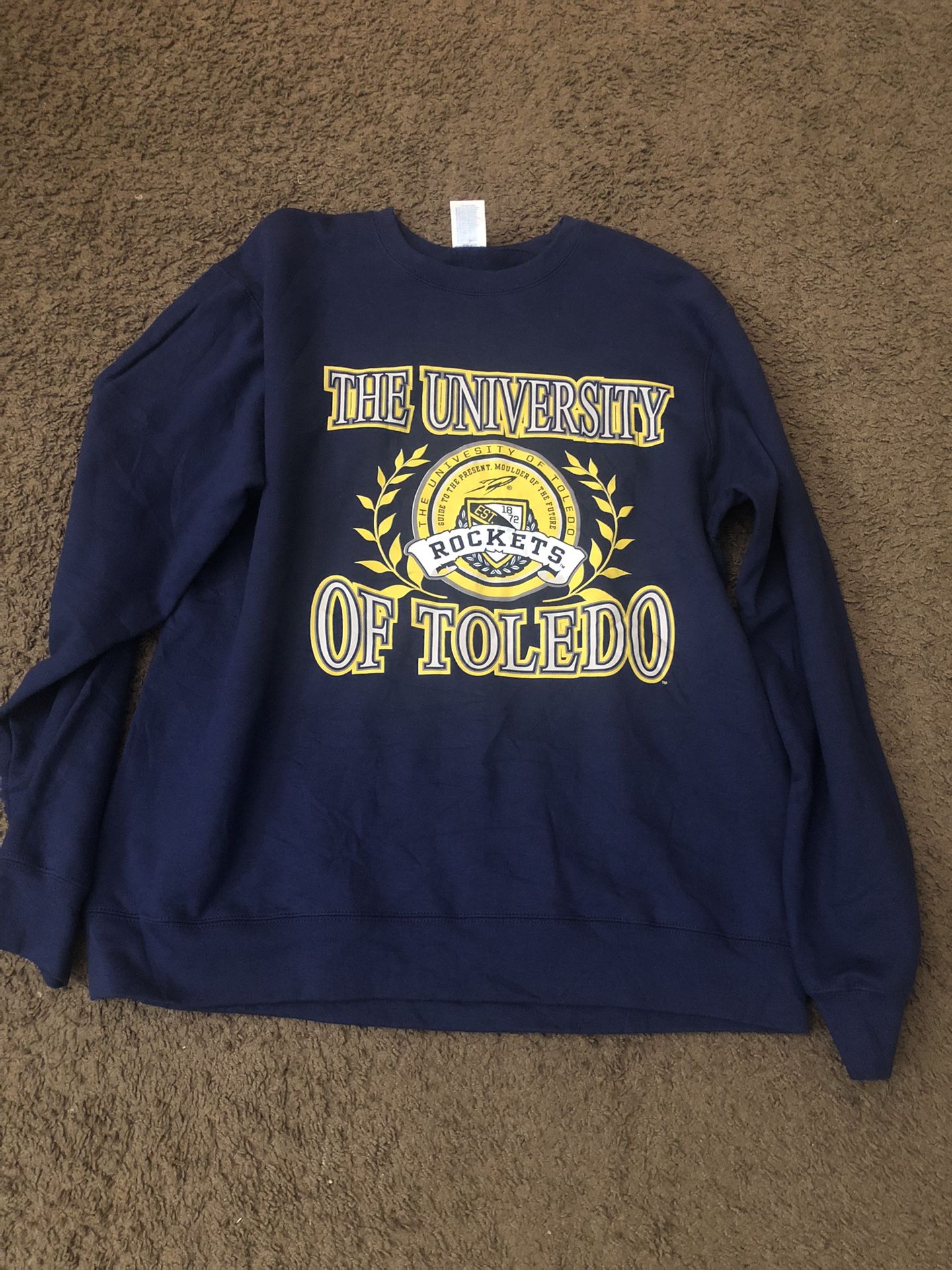 Vintage 90s University Toledo Ohio Sweatshirt University Toledo Crewneck Toledo