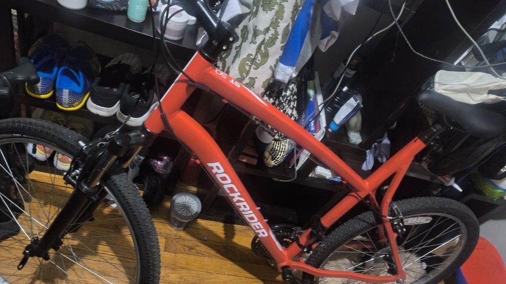 Trail Bicicle