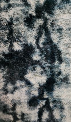 Carpet area rug