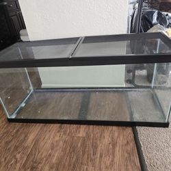 75 Gallon Fish Tank