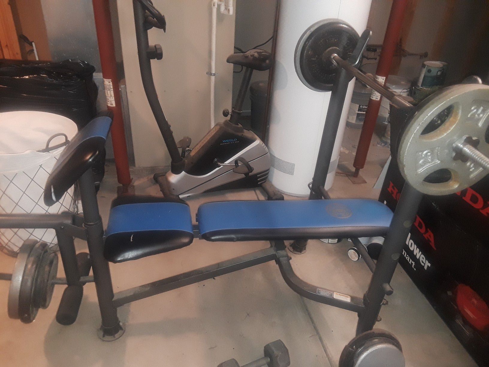 Golds gym weight bench