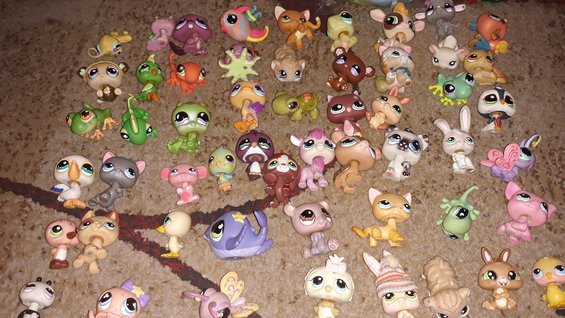 Lps little pet shop