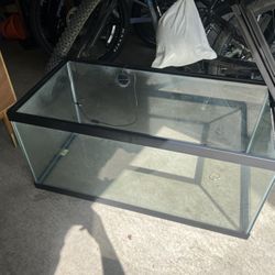 Tortoise/Reptile Tank