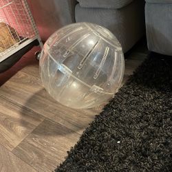 Giant Rat/gerbil Ball