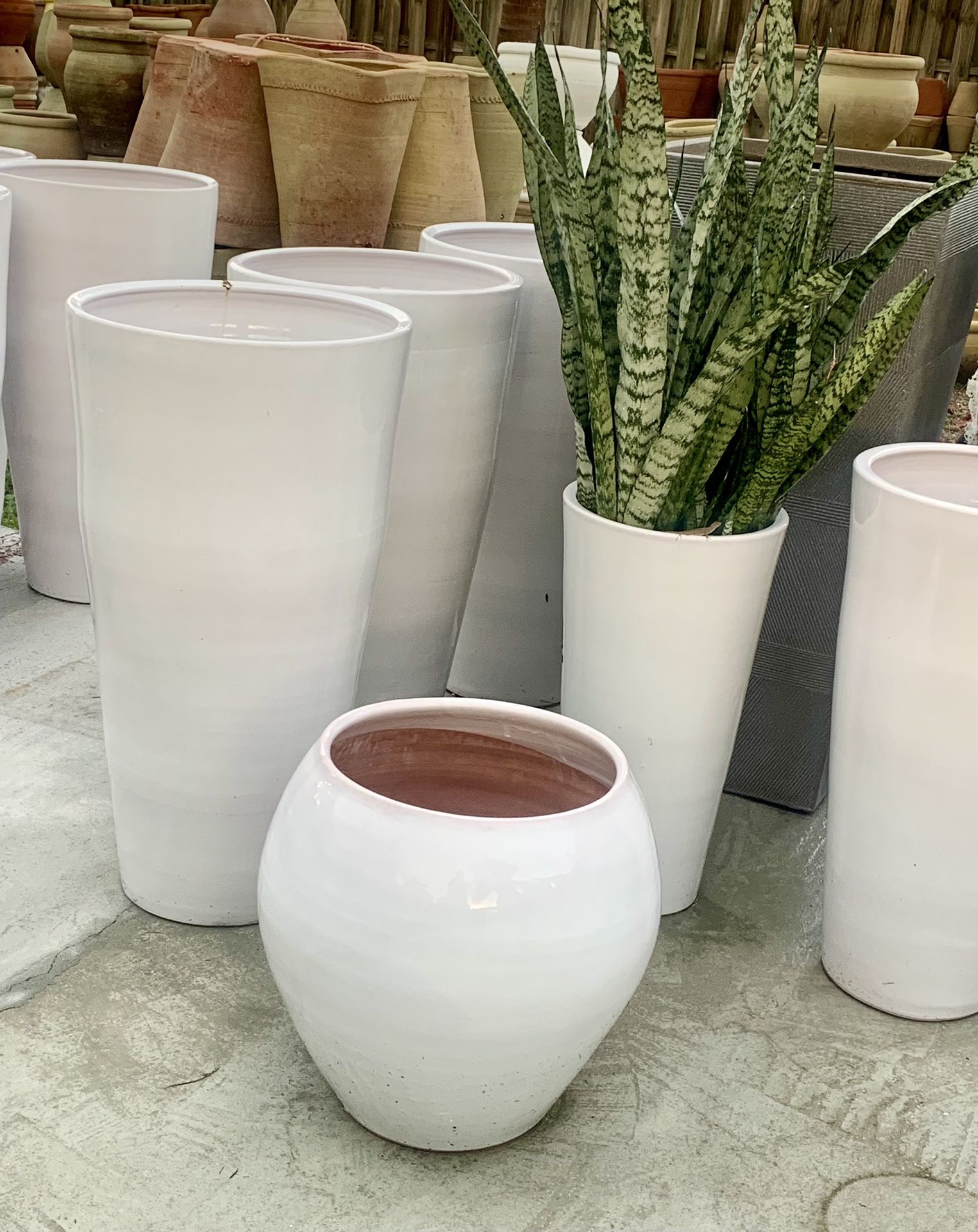 Modern Ceramic Planter Pots