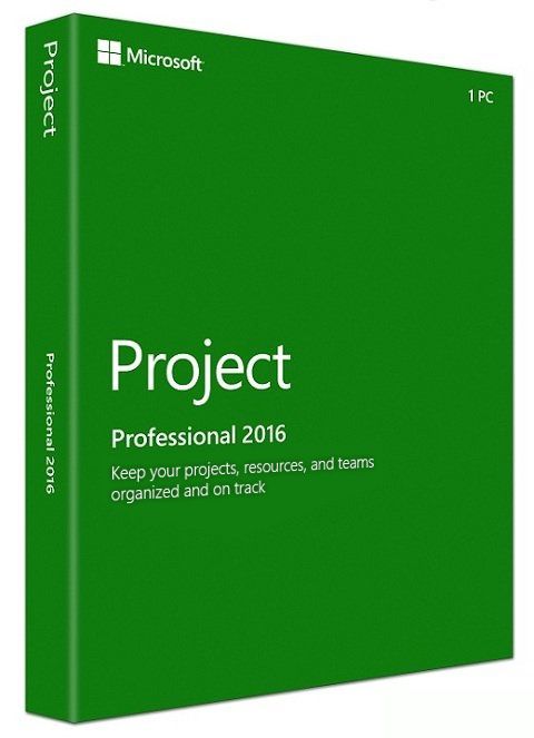 Microsoft Project 2019 for windows laptop and desktop computers