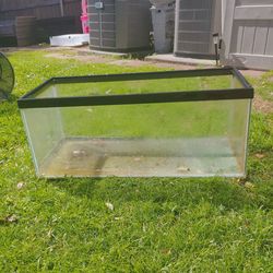 20 gallon aquarium tank