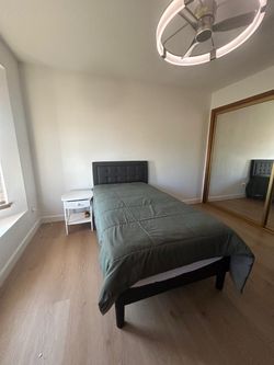 Twin Bedframe and mattress