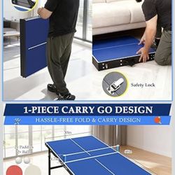 Portable Ping Pong Table, Table Tennis