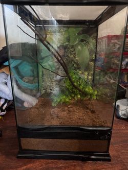 Glass Reptile Terrarium with Decor