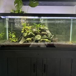 75 Gallon Fish Tank