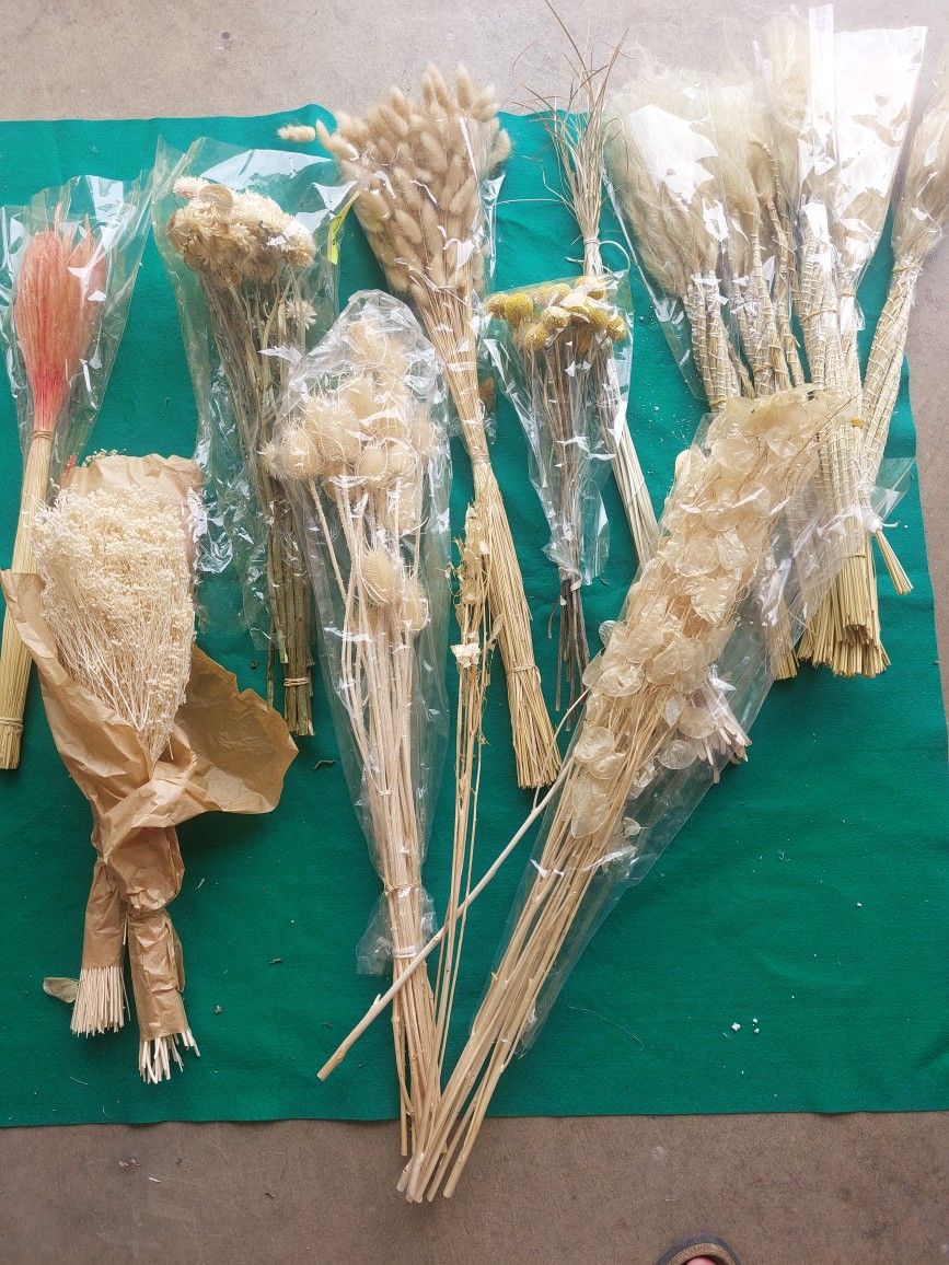DIY Boho Wedding Dried, Preserved Flowers,baby's Breath, Bunny Tails, And Many Other