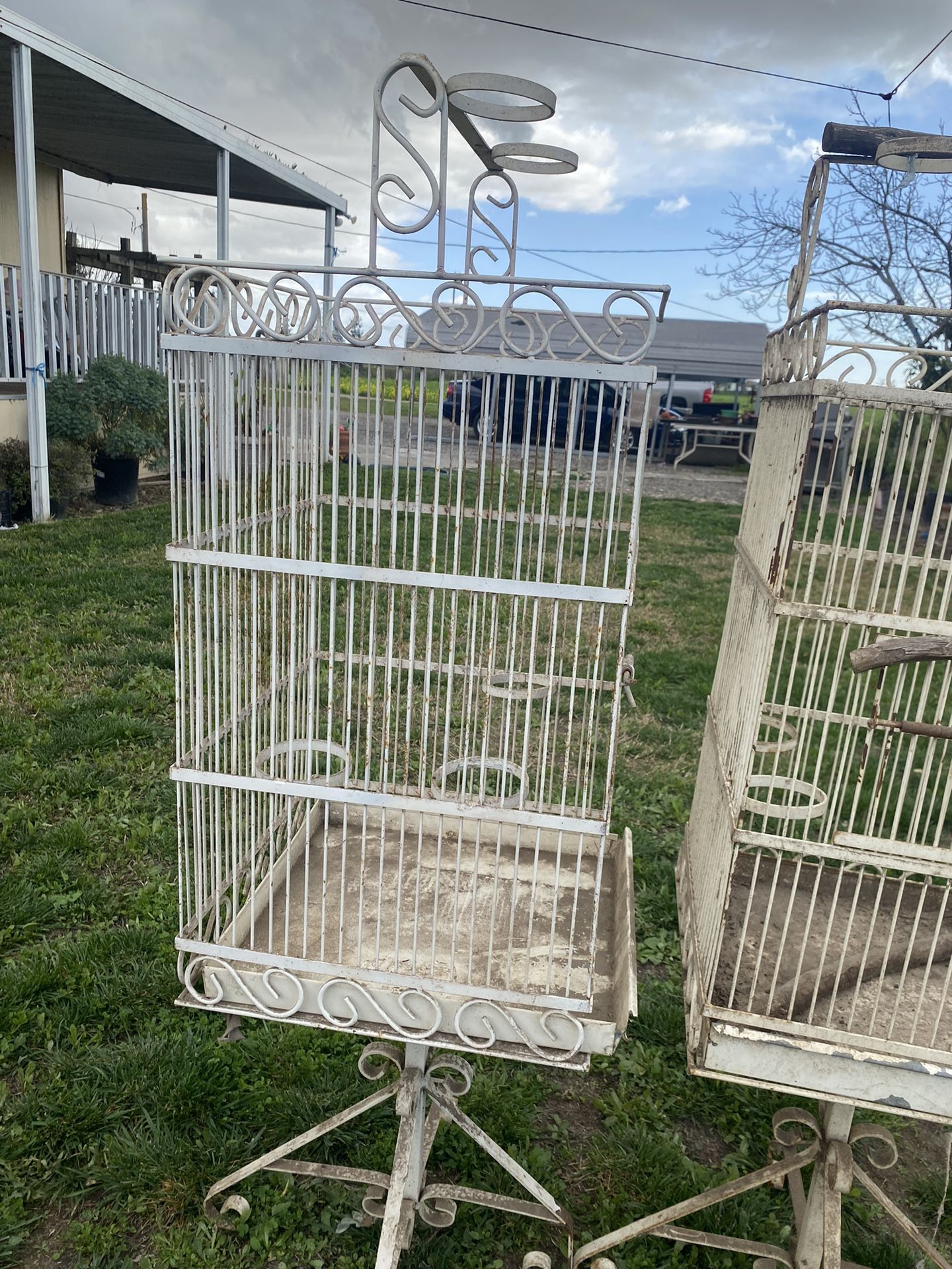 Bird Cages