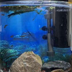 10 Gallon Half Moon Glass Aquarium 