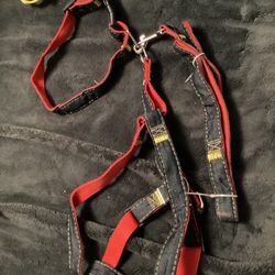 Medium Dog Leash, Collar, and harness 