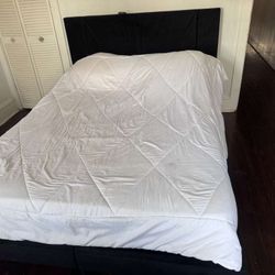 Black Queen Size Bed with Headboard & Mattress – $180