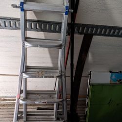 Werner 21' Utility Ladder