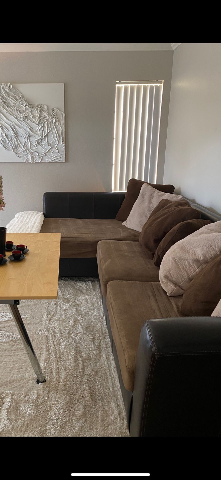 Sectional Couch
