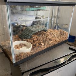 Small Tank Everything included