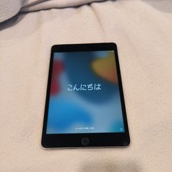 iPad Mini