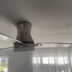 Ceiling Fans 