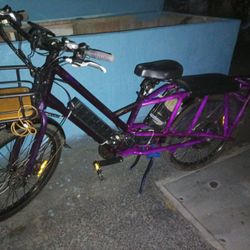 Radd Wagoneer EBike