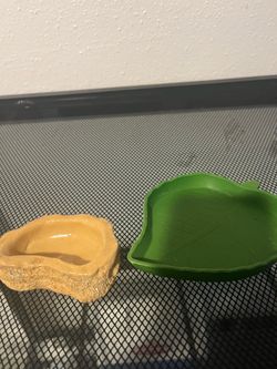 Food bowl