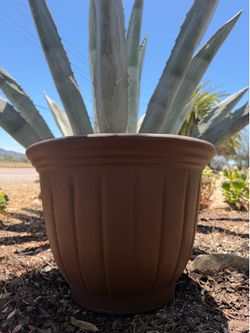Large Fluted Pot Planter