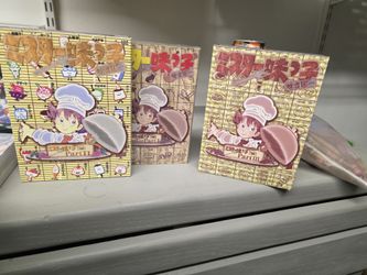 Mister Ajiko DVD Set