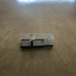 Rodent Trap