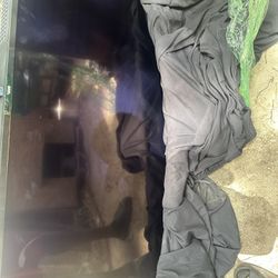 55 Inch Roku Tv