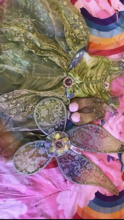 Tinker bell Disney Store dress&shoes