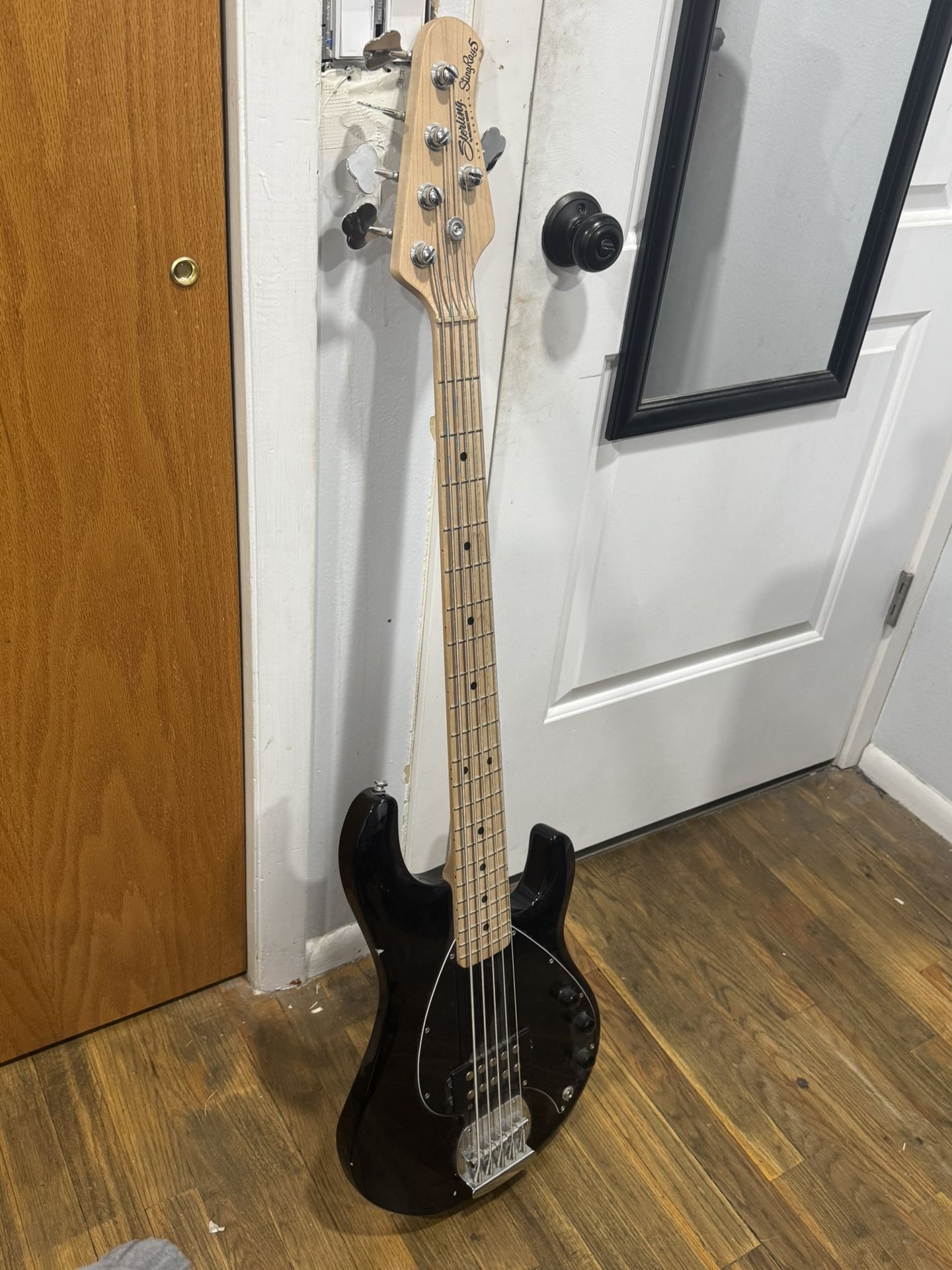 5 String Bass Guitar 