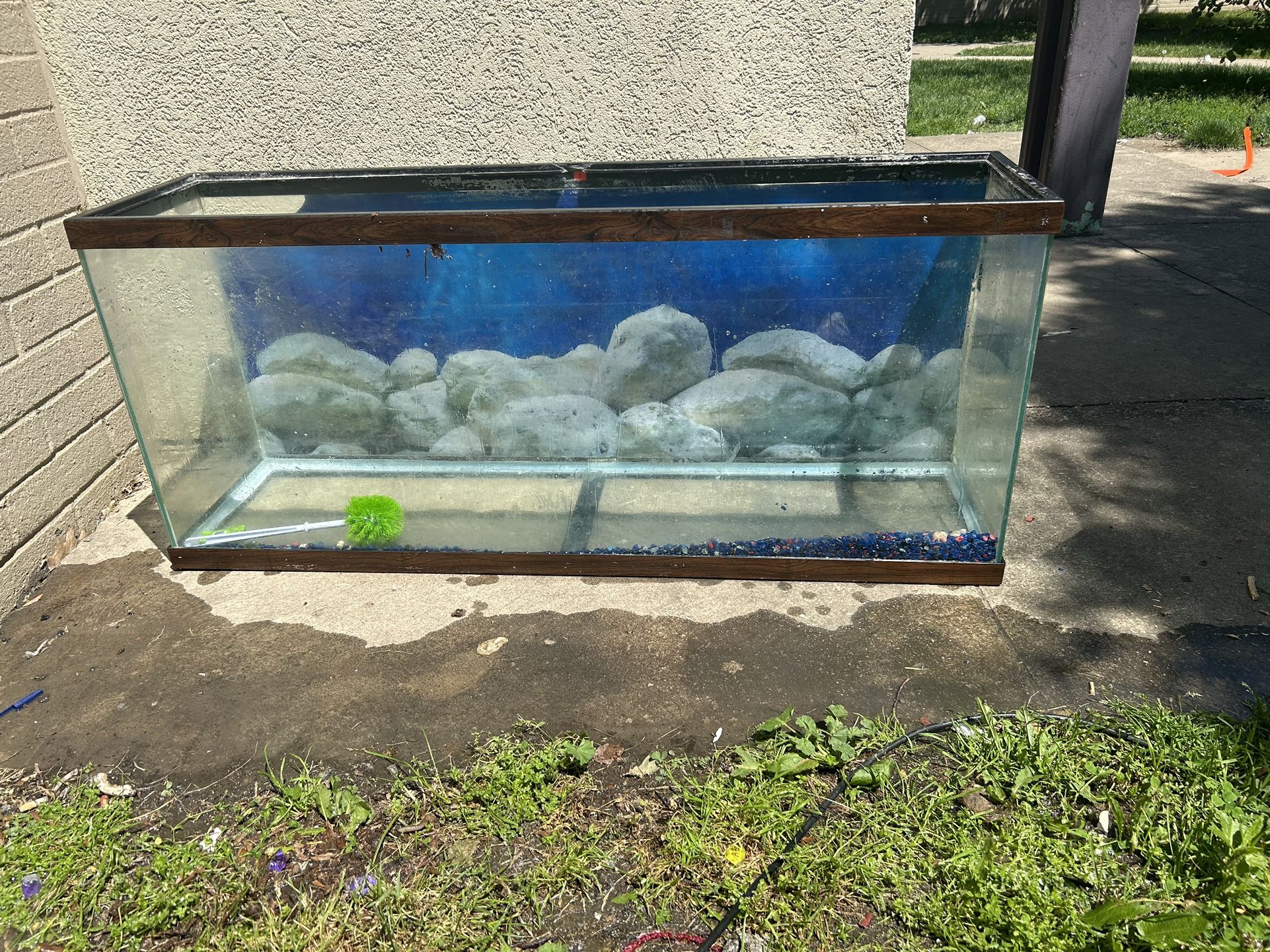 Fish Tank 55 Gallon