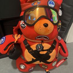 Money Bear 🐻  💵 