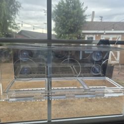 Window Bird Feeder 