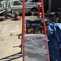 6 Ft Ladder 