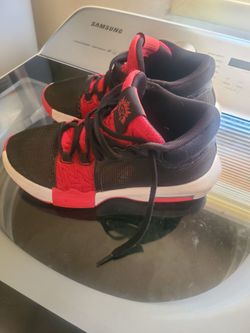 LeBron's size 9.5