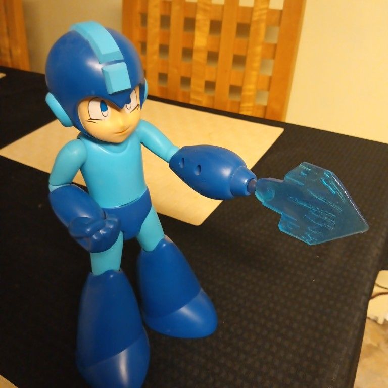 Image #1