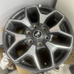 Bronco Rims Rim