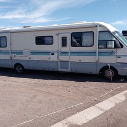 1990 Dolphin  3400