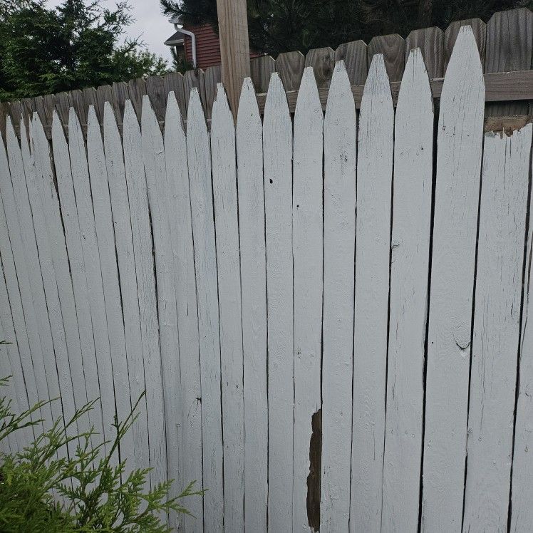 Fence (Wood) Free