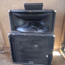 Peavey Speaker 