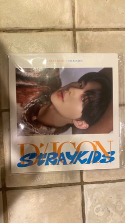 Stray Kids Hyunjin Dicon Dfesta Photobook