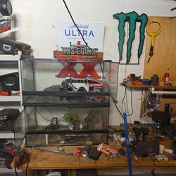 open front terranium