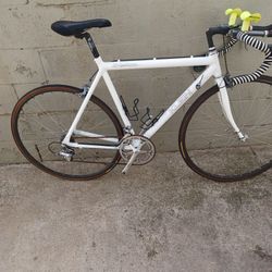 CLEIN size 700 Speed 14 Frame 57cm